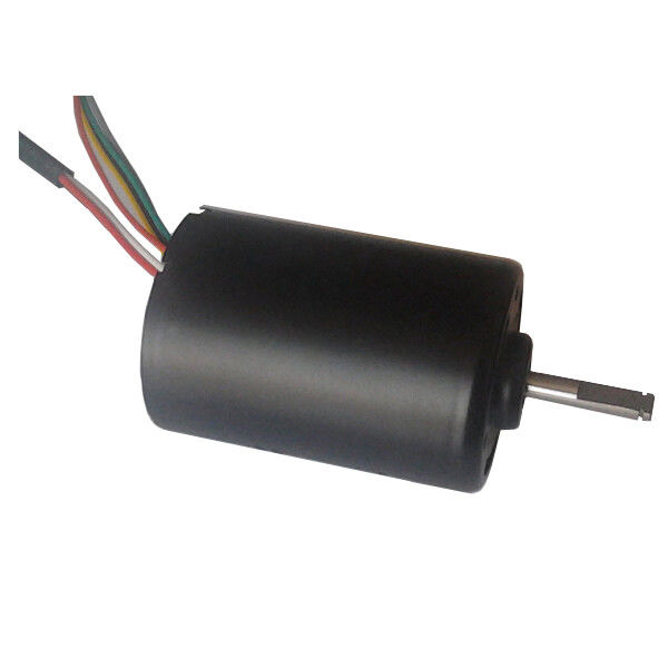 DBL4260 30W à couple élevé moteur à courant continu sans balai pompe à eau 24 Volt moteur BLDC